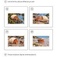 The Hermit Crab's New Shell | Reading Comprehension & Writing | Grades 1-2 - thumbnail 3 of 4