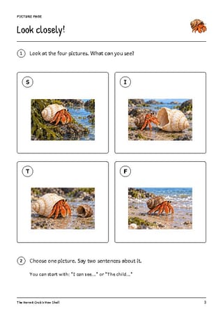 The Hermit Crab's New Shell | Reading Comprehension & Writing | Grades 1-2 - image 3 of 4