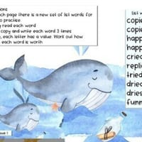 Grade 2 Term 2 Spelling- Suitable for Distance Learning - thumbnail 6 of 6