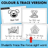 Emergent Readers Decodable Sight Word Books CVC Words Kindergarten Foundation Reading - thumbnail 3 of 5