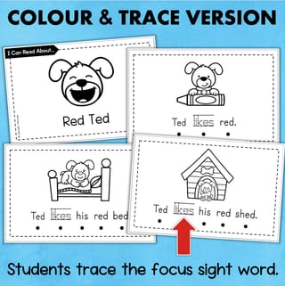 Emergent Readers Decodable Sight Word Books CVC Words Kindergarten Foundation Reading - image 3 of 5