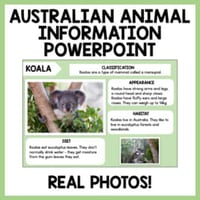 Australian Animal Information Report Writing PowerPoint with Real Photos