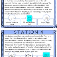 Australian Animals Passage Codebreaker Scavenger Hunt - 8 Reading Stations - thumbnail 2 of 2