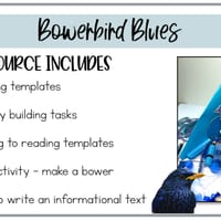 Bowerbird Blues | Reading Writing and Craft Resources - thumbnail 2 of 7