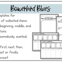 Bowerbird Blues | Reading Writing and Craft Resources - thumbnail 4 of 7