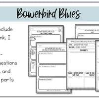 Bowerbird Blues | Reading Writing and Craft Resources - thumbnail 5 of 7