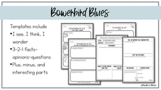 Bowerbird Blues | Reading Writing and Craft Resources - image 5 of 7