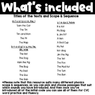 CVC Decodable Reading Passages and Comprehension Questions Slides - Reading fluency - image 4 of 4