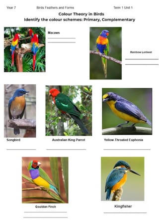 Visual Arts - Colour Theory - Primary, Complementary, Tertiary - image 1 of 1
