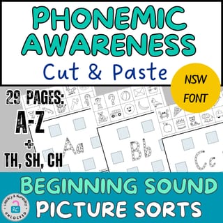 Phonemic Awareness and Phonics Beginning Sound Worksheets: Picture Sort Activity in NSW Font - image 1 of 4