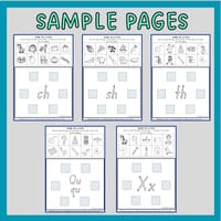 Phonemic Awareness and Phonics Beginning Sound Worksheets: Picture Sort Activity in NSW Font - thumbnail 3 of 4