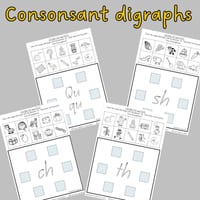 Phonemic Awareness and Phonics Beginning Sound Worksheets: Picture Sort Activity in Queensland Font - thumbnail 3 of 4