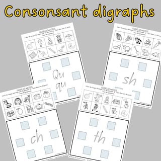 Phonemic Awareness and Phonics Beginning Sound Worksheets: Picture Sort Activity in Queensland Font - image 3 of 4