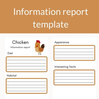 Chicken Information Report Template - image 1 of 1