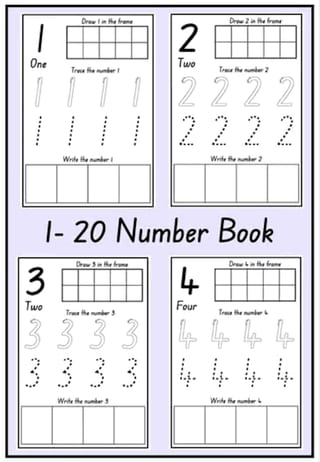 1-20 NSW Foundation Font Number Book - image 1 of 3