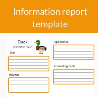 Duck Information Report Template - image 1 of 1