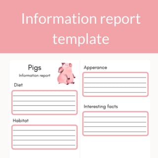 Pig Information Report Template - image 1 of 1