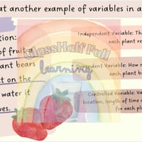 Scientific Variables: Fair Test, Independent, Dependent, Controlled - thumbnail 3 of 4