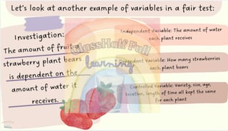 Scientific Variables: Fair Test, Independent, Dependent, Controlled - image 3 of 4