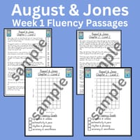 August & Jones Stage 3 Unit 5  Differentiated Fluency Worksheet Bundle - thumbnail 4 of 4