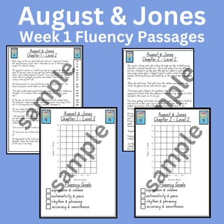 August & Jones Stage 3 Unit 5 Differentiated Fluency Worksheet Bundle - image 4 of 4