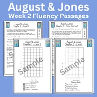 August & Jones Stage 3 Unit 5  Differentiated Fluency Worksheet Bundle - thumbnail 2 of 4