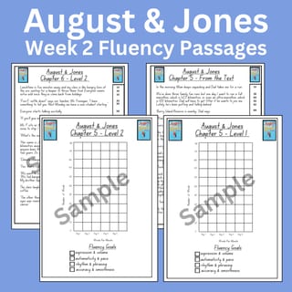 August & Jones Stage 3 Unit 5 Differentiated Fluency Worksheet Bundle - image 2 of 4