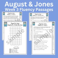 August & Jones Stage 3 Unit 5  Differentiated Fluency Worksheet Bundle - thumbnail 3 of 4