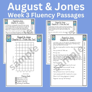 August & Jones Stage 3 Unit 5 Differentiated Fluency Worksheet Bundle - image 3 of 4