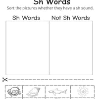 Digraph Worksheet Booklet - Ch, Sh, Th - thumbnail 5 of 6