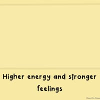 Zones of Regulation BUNDLE - thumbnail 3 of 5