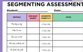 Segmenting Assessment - image 1 of 1