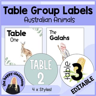 Australian Animal Theme Table Group Labels Desk Signs - image 1 of 4