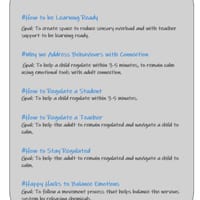 The 4Step Calm Process: The Care Curriculum-Book One - thumbnail 6 of 6
