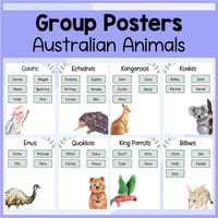 Australian Animal Themed Group Posters - Literacy and Numeracy Rotations / Centres - thumbnail 2 of 3