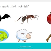 SATPIN Phonics PowerPoint Lesson - thumbnail 3 of 4