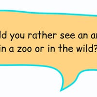 Teacher Pack - Back to the Outback (film unit) - Years 3 & 4 - thumbnail 2 of 5