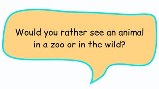 Teacher Pack - Back to the Outback (film unit) - Years 3 & 4 - image 2 of 5
