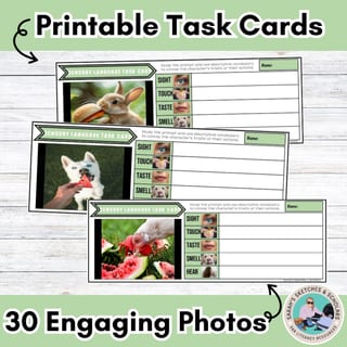Show Not Tell descriptive writing prompts using the five senses - image 4 of 5