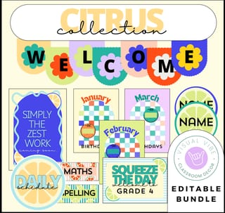 Citrus Classroom Decor BUNDLE | Editable Posters, Resources and Supplies - image 1 of 2