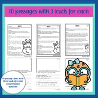 Reading and Comprehension Package - thumbnail 2 of 3