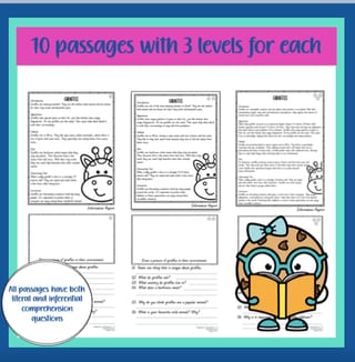 Reading and Comprehension Package - image 2 of 3
