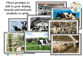 Dairy Information Pack - image 4 of 7