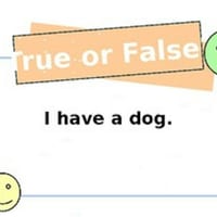 Get to know your teacher - True or False - thumbnail 3 of 4