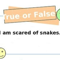 Get to know your teacher - True or False - thumbnail 4 of 4