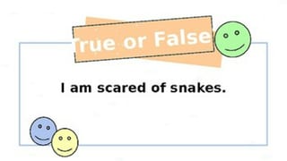 Get to know your teacher - True or False - image 4 of 4