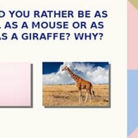Quick Write Prompts for the Primary Classroom - thumbnail 3 of 4