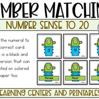 Addition and Subtraction to 20 Cactus Theme - thumbnail 2 of 8
