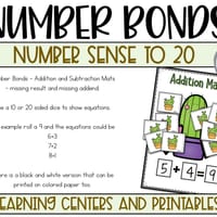 Addition and Subtraction to 20 Cactus Theme - thumbnail 6 of 8