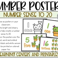 Addition and Subtraction to 20 Cactus Theme - thumbnail 3 of 8